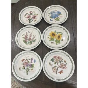 Botanic Garden Susan Williams Ellis Portmeirion 6 Dinner Plates 10 1/2"